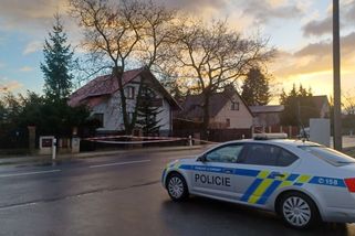 Poslední dny jezdil do Prahy s pouzdrem na kytaru, všimli si v Hostouni - Seznam Zprávy
